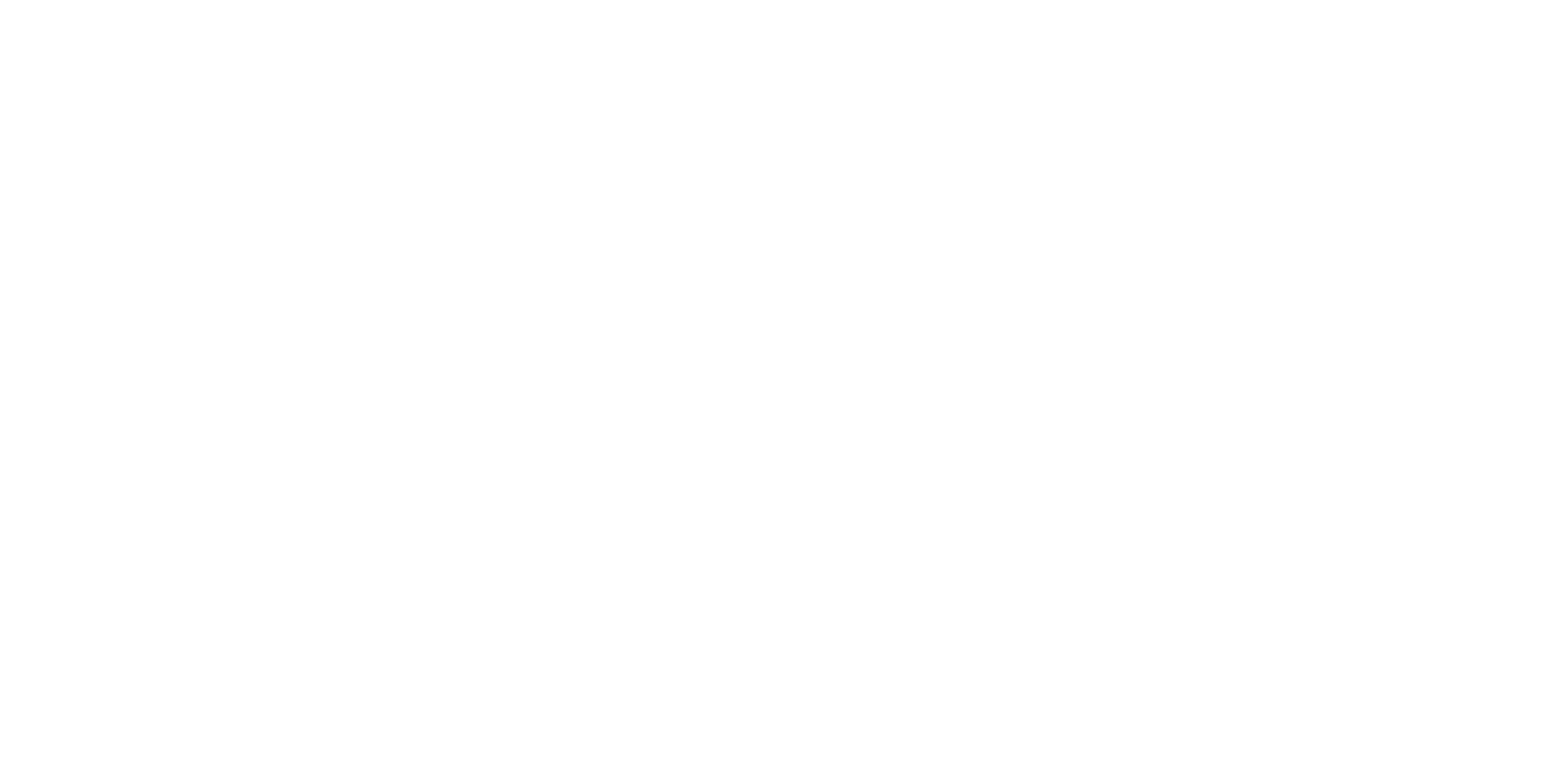 RJ & Co. Holdings